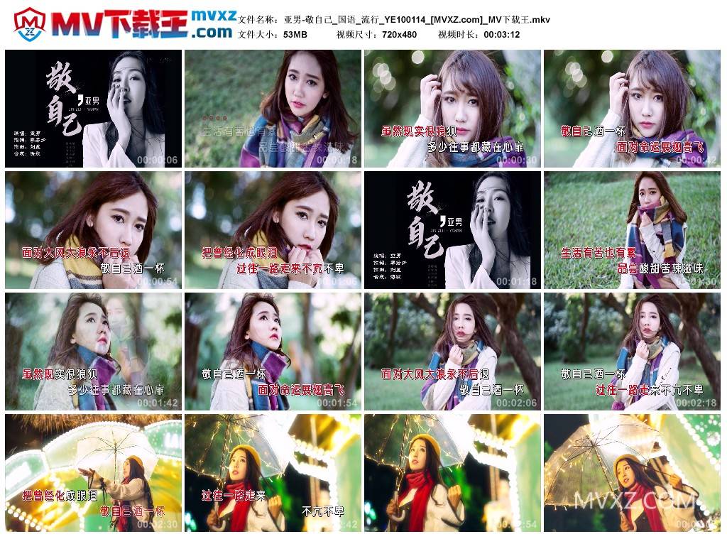 亚男-敬自己_国语_流行_YE100114